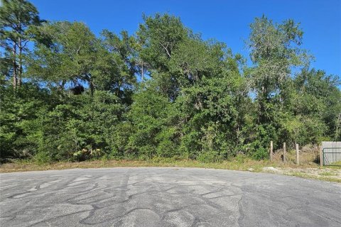 Land in Brooksville, Florida № 1774990 - photo 3