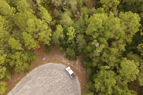 Land in Brooksville, Florida № 1774990 - photo 14