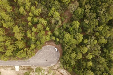 Land in Brooksville, Florida № 1774990 - photo 11
