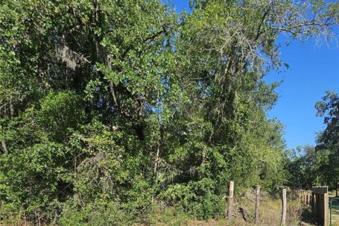 Land in Brooksville, Florida № 1774990 - photo 4