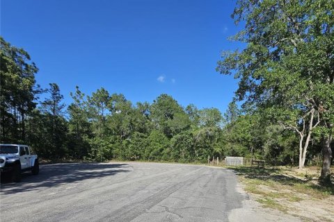 Land in Brooksville, Florida № 1774990 - photo 5