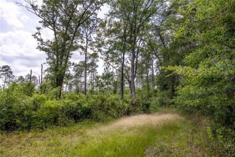 Land in Waldo, Florida № 1192471 - photo 5