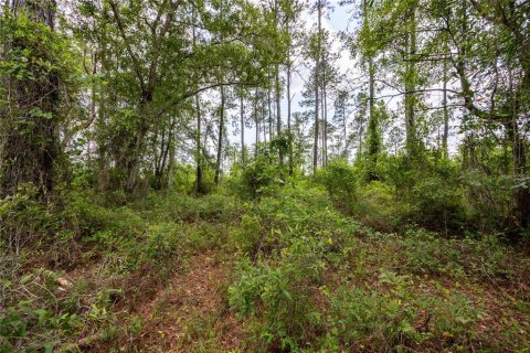 Land in Waldo, Florida № 1192471 - photo 3