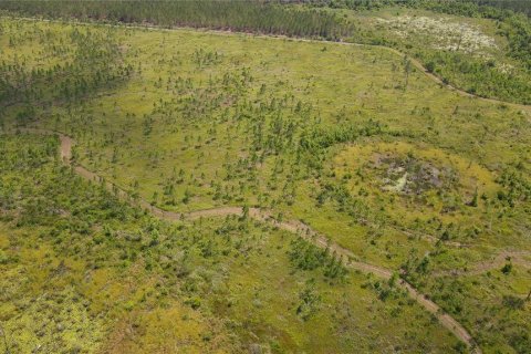 Land in Waldo, Florida № 1192471 - photo 16