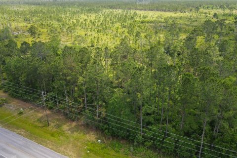 Land in Waldo, Florida № 1192471 - photo 12