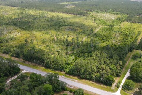 Land in Waldo, Florida № 1192471 - photo 13