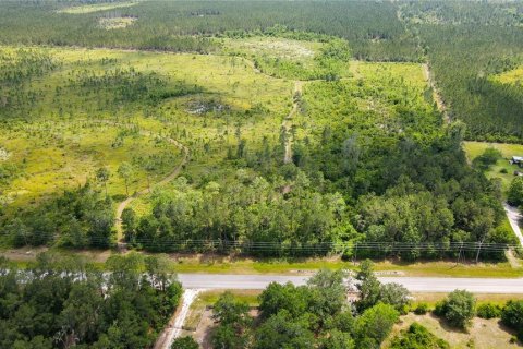 Land in Waldo, Florida № 1192471 - photo 14