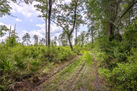 Land in Waldo, Florida № 1192471 - photo 6