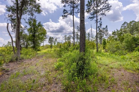 Land in Waldo, Florida № 1192471 - photo 9