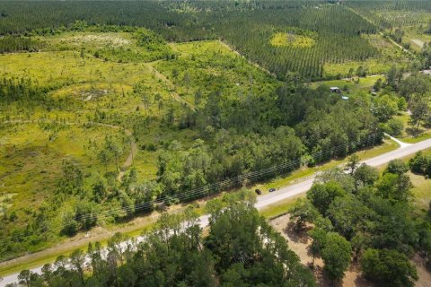 Land in Waldo, Florida № 1192471 - photo 15