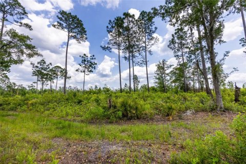 Land in Waldo, Florida № 1192471 - photo 8