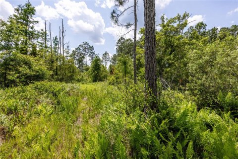 Land in Waldo, Florida № 1192471 - photo 10