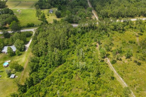 Land in Waldo, Florida № 1192471 - photo 18