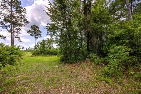 Land in Waldo, Florida № 1192471 - photo 4