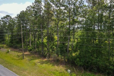 Land in Waldo, Florida № 1192471 - photo 11