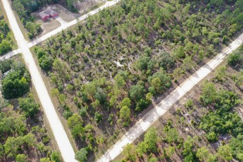 Terrain à vendre à Williston, Floride № 2208915 - photo 5