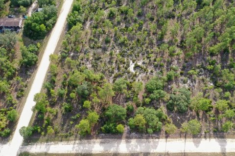 Terrain à vendre à Williston, Floride № 2208915 - photo 4