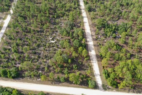Terrain à vendre à Williston, Floride № 2208915 - photo 6