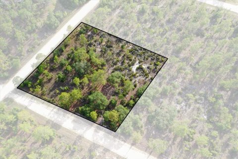 Terreno en Williston, Florida № 2208915