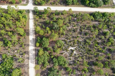 Terrain à vendre à Williston, Floride № 2208915 - photo 2