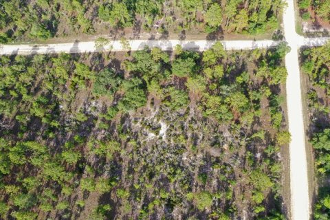 Terrain à vendre à Williston, Floride № 2208915 - photo 8