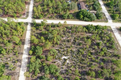 Terrain à vendre à Williston, Floride № 2208915 - photo 10