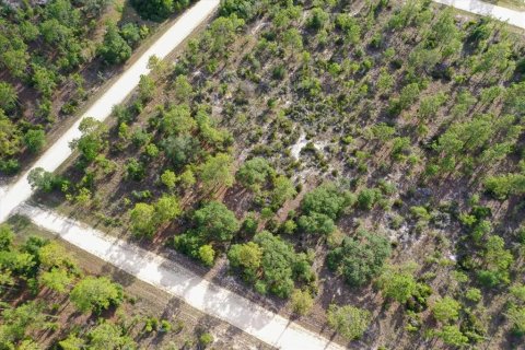 Terrain à vendre à Williston, Floride № 2208915 - photo 3