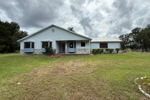 Villa ou maison à Dade City, Floride 4 chambres, 291.71 m2 № 2406239