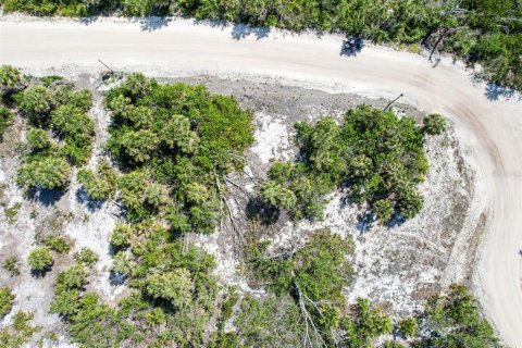 Land in Placida, Florida № 1658126 - photo 24