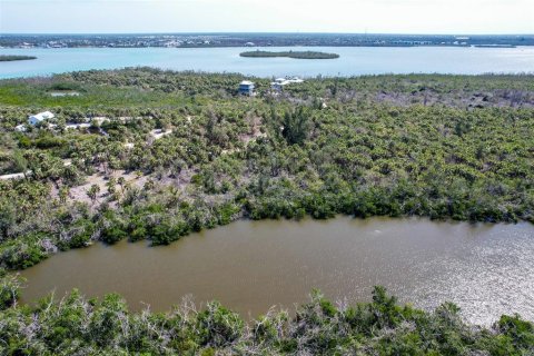 Land in Placida, Florida № 1658126 - photo 3