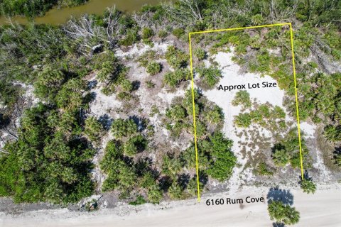 Land in Placida, Florida № 1658126 - photo 2