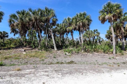 Land in Placida, Florida № 1658126 - photo 5