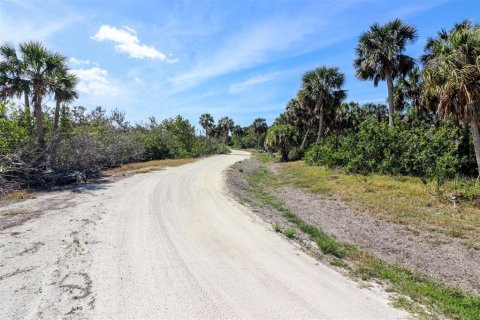 Land in Placida, Florida № 1658126 - photo 4