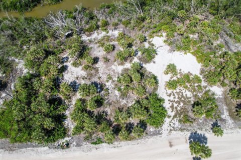 Land in Placida, Florida № 1658126 - photo 1
