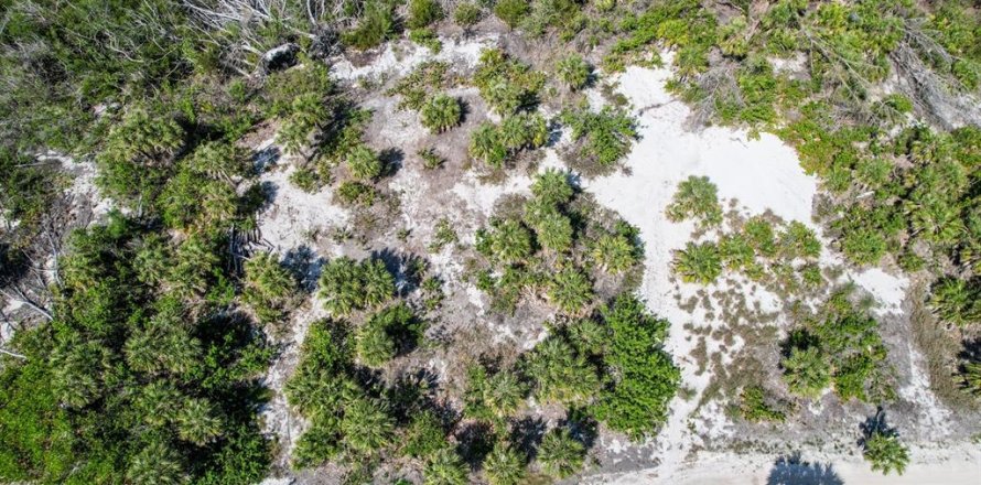 Land in Placida, Florida № 1658126