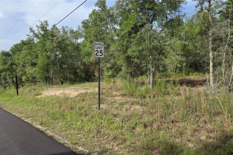 Terreno en venta en Hernando, Florida № 1788973 - foto 2