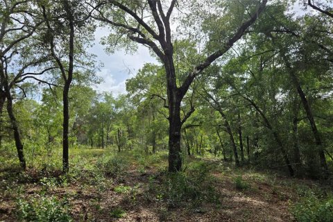 Terreno en venta en Hernando, Florida № 1788973 - foto 21