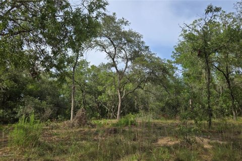 Terreno en venta en Hernando, Florida № 1788973 - foto 1
