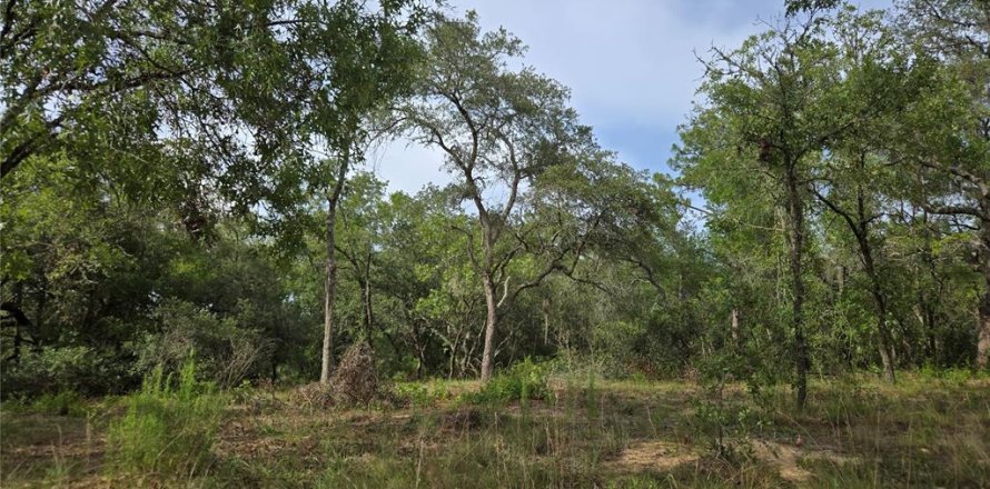 Terreno en Hernando, Florida № 1788973