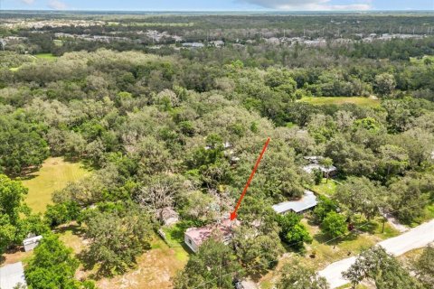 Apartment in Riverview, Florida 4 bedrooms, 190.45 sq.m. № 1917415 - photo 6