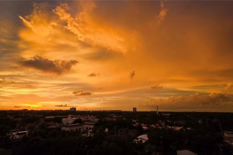 Condo in Tampa, Florida, 2 bedrooms  № 2224440