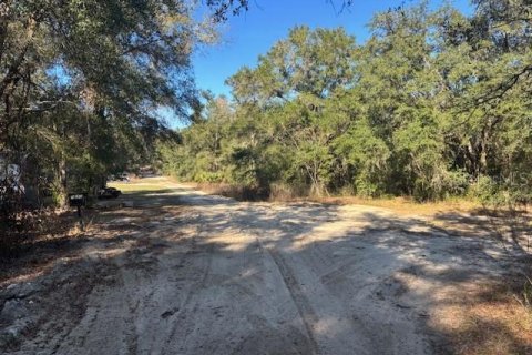 Land in Ocala, Florida № 2165437 - photo 2