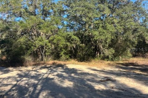 Land in Ocala, Florida № 2165437
