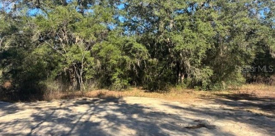 Land in Ocala, Florida № 2165437