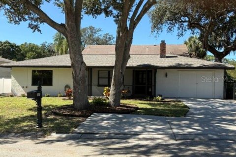 Villa ou maison à Tarpon Springs, Floride 3 chambres, 129.13 m2 № 2432603