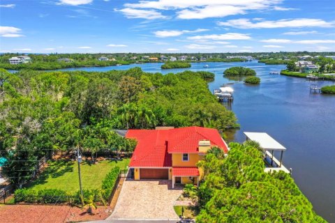 House in Palm Harbor, Florida 4 bedrooms, 297.84 sq.m. № 1871206 - photo 1