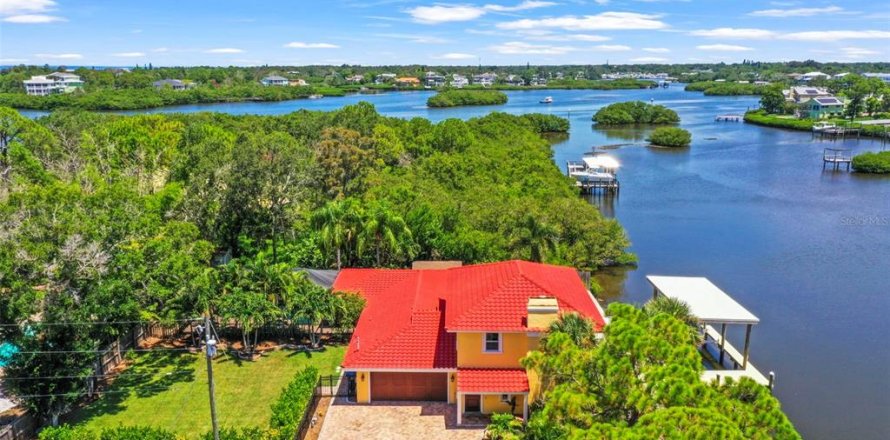 House in Palm Harbor, Florida 4 bedrooms, 297.84 sq.m. № 1871206