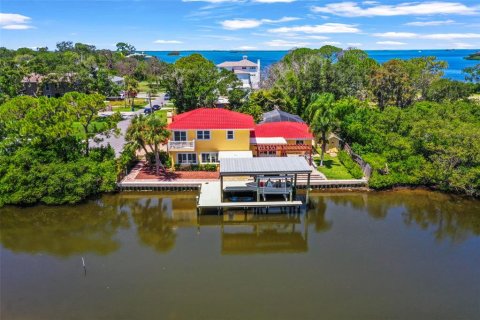 House in Palm Harbor, Florida 4 bedrooms, 297.84 sq.m. № 1871206 - photo 3