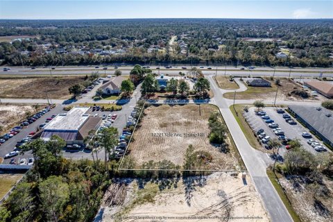 Terreno en venta en Weeki Wachee, Florida № 260859 - foto 1