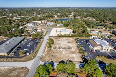 Terreno en venta en Weeki Wachee, Florida № 260859 - foto 19